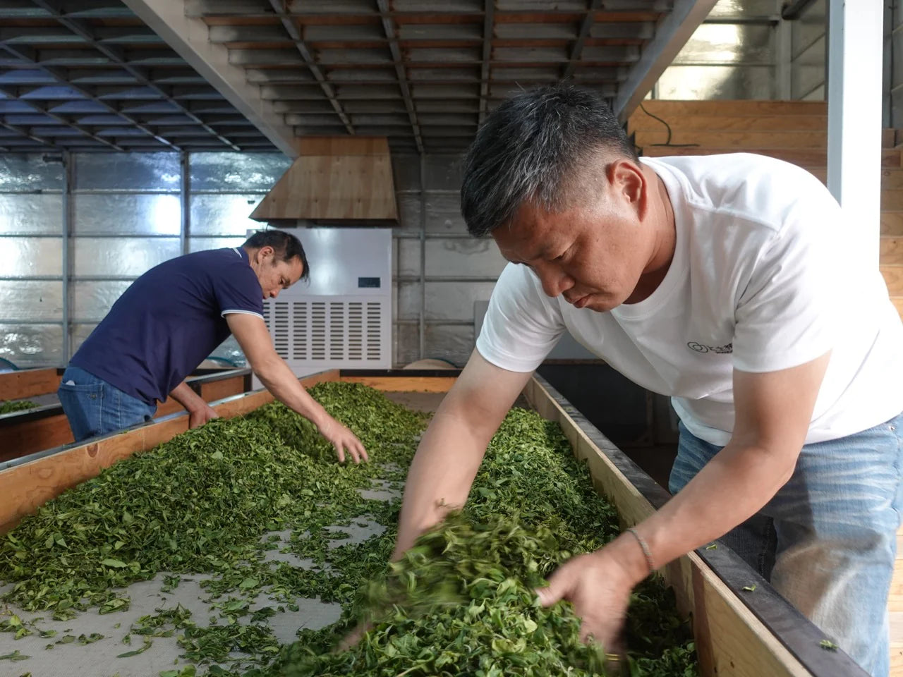 Fragrant Consort White