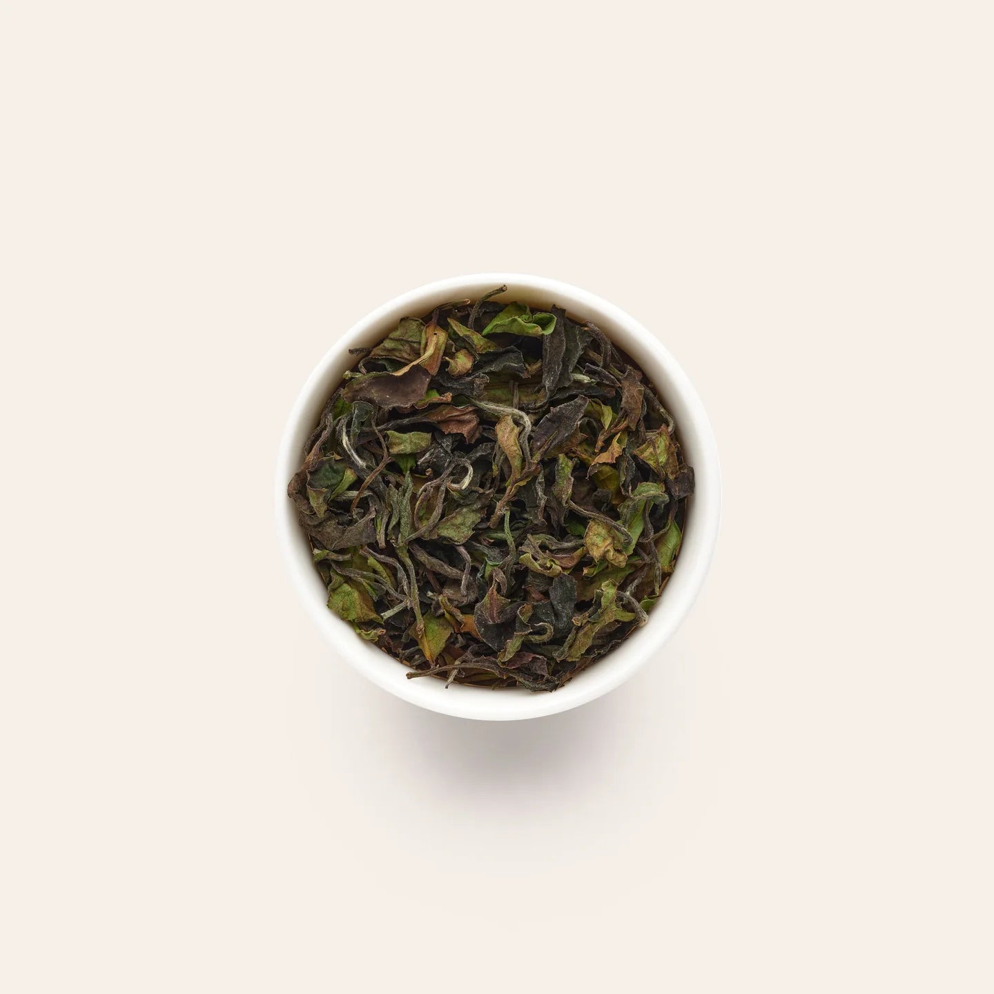 Fragrant Consort White