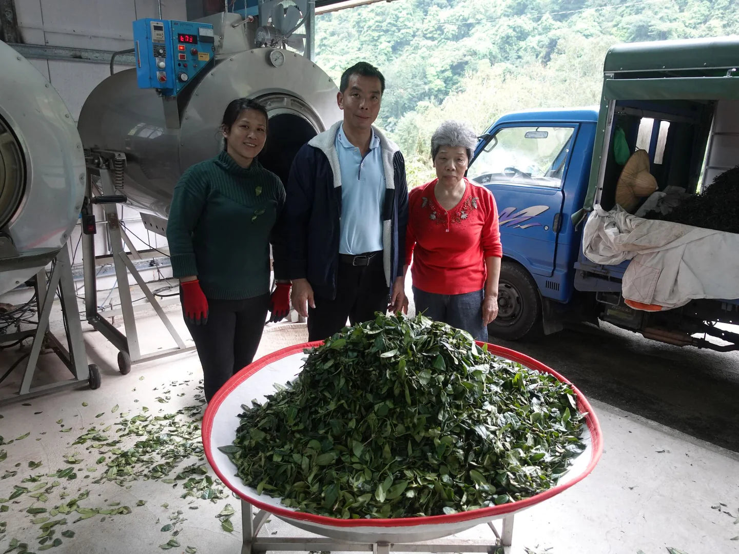 Muzha Iron Goddess Oolong